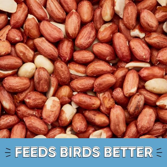 Happy Beaks - Peanuts - Aflatoxin Tested